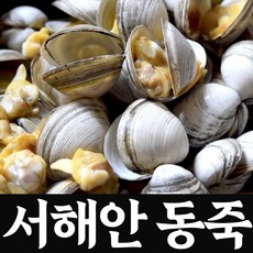 [장씨네] 서해 고창 동죽조개 백생합 바지락 모시조개, 1개, 동죽조개 1kg