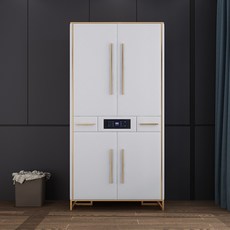 新款兒童實木衣櫃 智能消毒除臭殺菌烘乾家用小戶型卧室家用衣櫥, 1個, 普通款/白色/單個 實木櫃體,2門 整裝