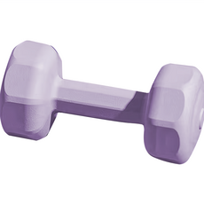 IKA 六角防滑啞鈴 健身器材, DB03紫-八角實心填充款:1KG單入, 1個