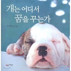 개는 어디서 꿈을 꾸는가, 황금부엉이, 안도현 역