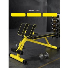 백익스텐션 덤벨 벤치 가정용 로만체어 홈트 운동 기구