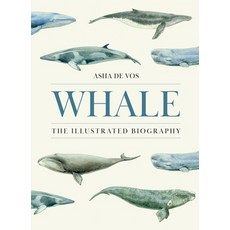 (영문도서)Whale: The Illustrated Biography Hardcover, Princeton University Press, English, 9780691273211