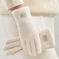 폴라 플리스 겨울 장갑 터치스크린 가능 풀 핑거 따뜻한 방풍 스키, Beige, 03 Beige