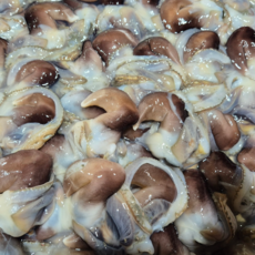 최상품 횟감 새조개 손질 초코새조개 노랑새조개 샤브샤브 여수, 1개, 초코새조개 500g