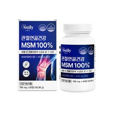 MSM 뉴일리 관절연골건강MSM100% 766mgx60정 1개