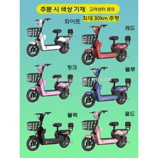 미니전동스쿠터 전기 바이크 배달용 전동바이크 전기차, 12아, 리튬 18ah 약 30KM, 48V