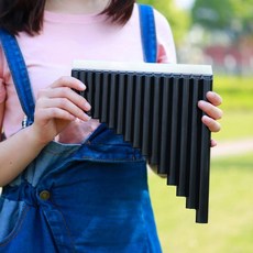 팬 플루트 파이프 키 팬파이프 초보자용 플루타 목관악기 가방 부품, 1개, 1. 검정색, 기본