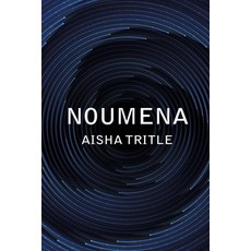 (영문도서) Noumena Paperback, Black Rose Writing, English, 9781685131722