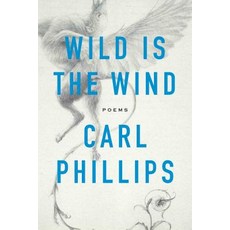 (영문도서)Wild Is the Wind Paperback, Farrar, Straus and Giroux, English, 9780374538248