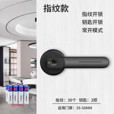 지문인식 손잡이 디지털 번호키 노멀 터치 침실 스마트 방화문 손잡이형 암호 목문 실내, 11 징크 블랙 베이스 버전 지문 열쇠