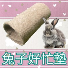 兔老爺 兔兔好忙墊 寵物玩樂隧道, 1個