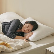 모던하우스 ON 베이직 베개솜 40x60 469773