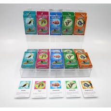 AR증강현실 유아용 영어카드 증강현실 4D 동물카드 ARLAND - SMALL, 곤충(Insects), 1개