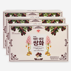 동화약품 부채표 대추 생강 쌍화, 30개, 120ml