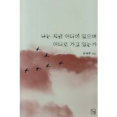 나는 지금 어디에 있으며 어디로 가고 있는가, 논형, 송광한 저