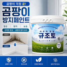 규조토월드 아쿠아한방규조토 페인트타입 18Kg (색상선택) 친환경 천연 단열 결로 곰팡이방지페인트 벽지, 01.화이트 아쿠아 페인트, 선택안함