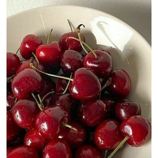 고당도 특품 체리, 1박스, 1kg