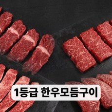 1등급 한우 특수모듬구이 영주한우 600g, 영주한우 1등급 한우 특수모듬구이 600g