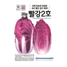 영농사 빨강 2호 배추 씨앗 100립 가을 적배추 빨간배추씨, 1개
