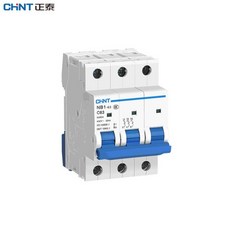 CHINT NB1-63 시리즈 1P/2P/3P/4P 미니어처 서킷 브레이커 (10A-40A): 과부하 및 차단기 MCB의 핵심 매개변, 04 2P, 04 16A