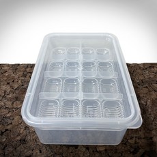 JIF 대형 에그컨테이너 파충류 알부화통, 1개