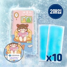 10세트 (2매입-1세트) 붙이는 아이스 쿨패치 쿨링패치 냉각패치 냉각시트 해열패치