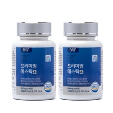 BSF 프리미엄 매스틱정 HACCP 인증 600mg x 90정, 54g, 2개