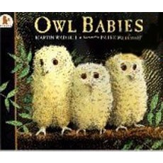 Pictory Pre-Schooler-34 Owl Babies (PB)
