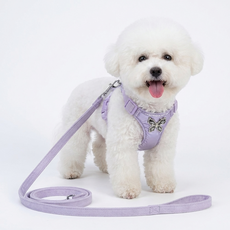 소형견용-메탈 리본 강아지 가슴등 세트-산책+포인트룩