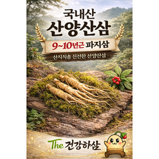 [The 건강하삼] 산양산삼 9~10년근 야생 파지삼 산삼 산양삼 파지삼, 20뿌리, 1개