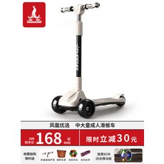 성인 킥보드 퀵보드 3발 청소년 씽씽이 3발킥보드 3륜 세발, 4. 凤凰-파랑