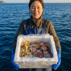 산지직송 통영 제철 [석화 굴 가리비 세트] 홍가리비 각굴 생굴 캠핑 세척 조개구이 조개찜, 1개, 8kg, (가리비 석화 세트)