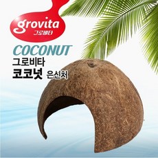 코코넛 은신처 수조장식, 1개