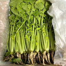 살짝 매콤하고 시원한 풍미 산지직송 국내산 어린열무, 1박스, 2kg