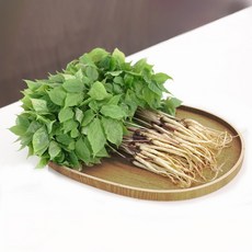 GAP 토정마루 새싹인삼 30뿌리 대(25~30cm) 새싹삼 부모님 건강 선물, 30개