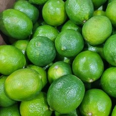 [업소용] 멕시코 생 라임, 1개, 프리미엄 중과 1박스 (18kg)