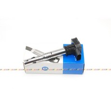 VAG小賴汽車 點火線圈 考爾 全新 A1 A3 A4 A5 A6適用, 1個