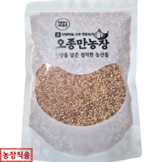 국산 단양 찰수수쌀 2025년생산 농가직송 오종만농장, 1개, 500g