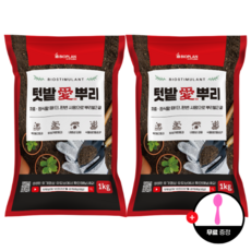 텃밭애뿌리 뿌리활착 토양처리제 뿌리발근제 복합비료, 1kg, 2개