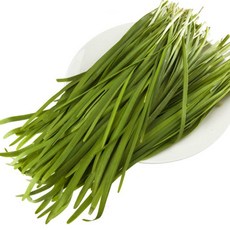 국내산 싱싱한 무농약 부추 1kg, 1개
