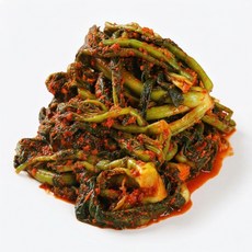 밥에는 김치 국내산 100% 갓김치 1kg, 1개