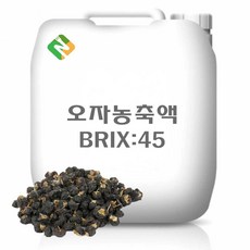 오자농축액 45Brix 200g 샘플, 1개