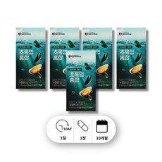 횽합 뉴질랜드 산 고 용량 농축 중년 여성 남성 노인 어르신 푸른 초록 홍합 초록입 초록잎 푸른잎 푸른입 홍합 청홍합 분말 가루 오일 캡슐, 5박스, 60회분