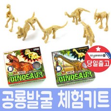 빨간오리 공룡발굴 화석체험키트 어린이 초등 장난감+그래Shop, 빠른배송