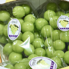 [18브릭스 당도선별] 새벽경매로 더 신선한 2025년 샤인머스켓 특품, 1박스, 2송이(1kg 내외)