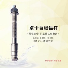 卓卡 自鎖錨杆 M12, 1個