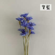 花藝夢手工曇花 單支販售 瓊花月下美人乾燥花 不凋花 永生花 Be a florist, 寶藍