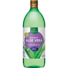 라이프스트림 알로에 베라 주스 1.25L, 1개