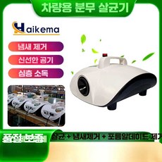 리온 피톤치드연무기 미니 새집증후군 차량 연막기, 소독기 (전동펌프) + 약 10병, 1개