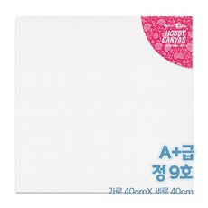 A+ 하비 캔버스 정사각 9호 (40*40)
